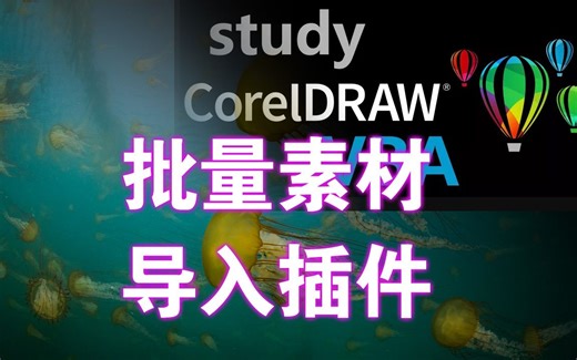 CorelDRAW VBA 插件: 批量素材导入插件
