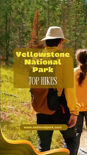 Yellowstone’s BEST Hikes (Easy → Brutal) You Can’t Miss #yellowstone #hiking #nature #outdoors #fyp