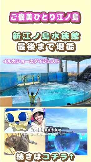 [Solo Enoshima Trip] Enjoying the Enoshima Aquarium to the Fullest