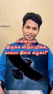 என்னவாக இருக்க விரும்புறீங்க,காகமா இல்ல கழுகா?#motivation #rajinikanth #motivationalvideo #tvkvijay