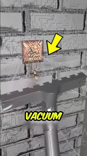 NEVER Vacuum Spider Webs Until You Know This🕷️