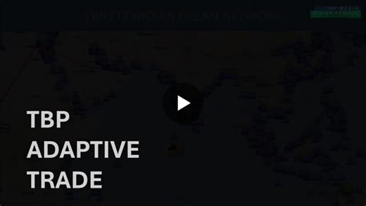 Adaptive Trade in an Age of Global Conflict V: Reinventing Global Shipping — The TBP Dynamic Maritime Route System