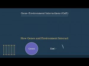 Understanding Phenotypes Genes, Environment, and Observable Traits