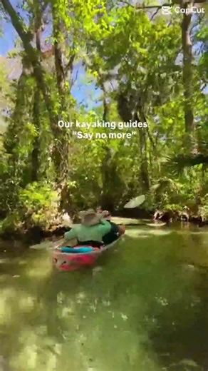 Our guided clear kayak tours take you through some of the clearest water in the state with peaceful