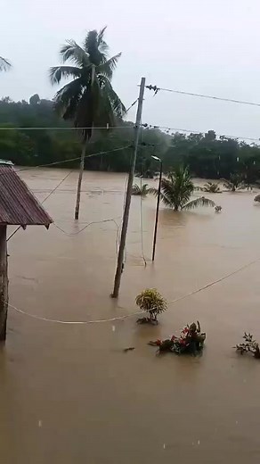 Mao ni sitwasyon sa Purok 5 Basagan, Katipunan, Zamboanga del Norte. | Zanorte News Flash