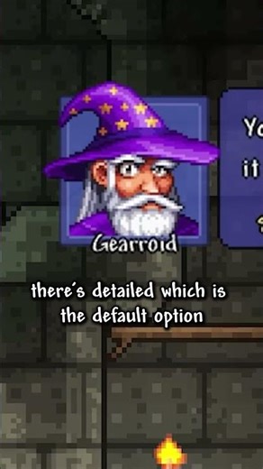 Super Secret Portrait Settings #terraria #shorts