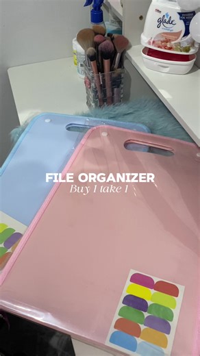Long File Organizer ✨ #organizer #fileorganizer