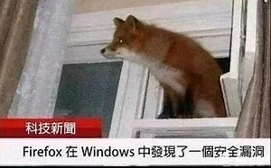 meme梗图⑩火狐在Windows中发现了一个漏洞（迫真）