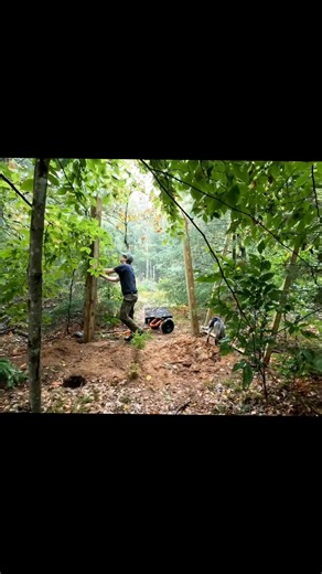 Building a Log Cabin for Camping and Bushcraft