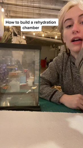 Effective Rehydration Methods for Insects