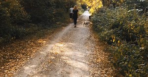 Video by Farman  Kareem on Pexels