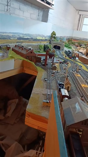 Triang Princess Model Train in Action