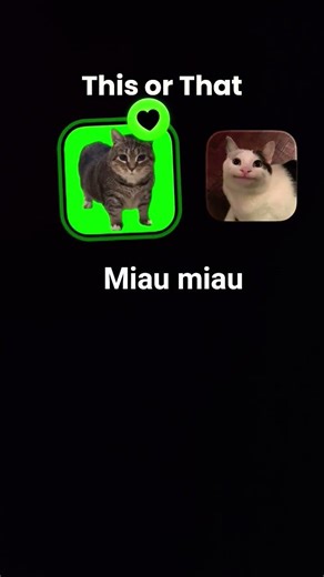 #cat #song #remix #мем