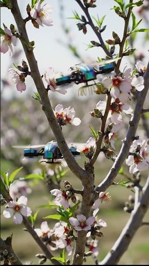 Robotic Bee Drones Pollinating Flowers