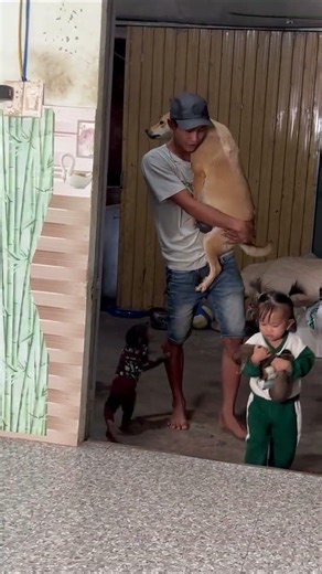 Cutis family successfully rescued puppy #cutismonkey #animals #short
