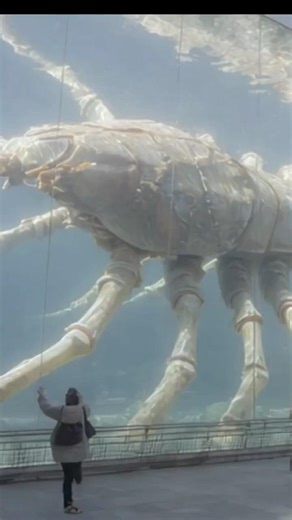 異形生物水族館の中にいる生き物たち Inside an Aquarium of Eldritch Creatures