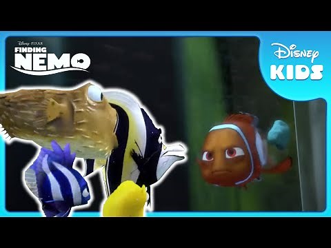 🌪️ The “Vortex of Terror” Awaits! | Finding Nemo | Disney Kids