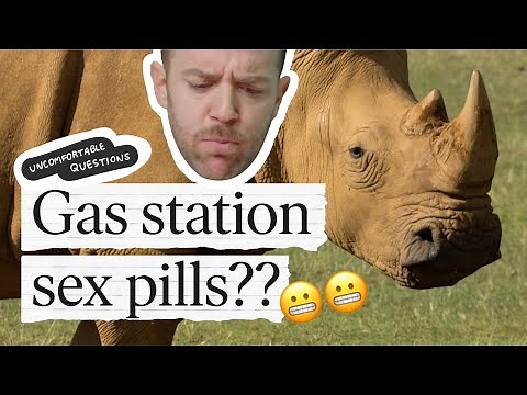Do Rhino Sex Pills Work?! A Urologist's Rhino Reaction