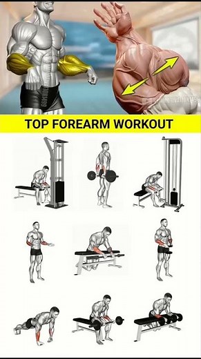 Top 10 Forearm Exercises for Bigger Arms & Grip Strength 💪 | Gym & Home Workout
