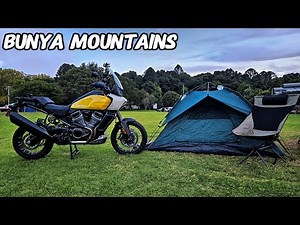 Moto Camping On A Harley-Davidson Pan America In The Bunya Mountains