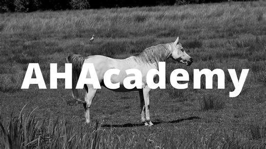 5.2K views · 66 reactions | New AHAcademy Course Alert! Introducing...