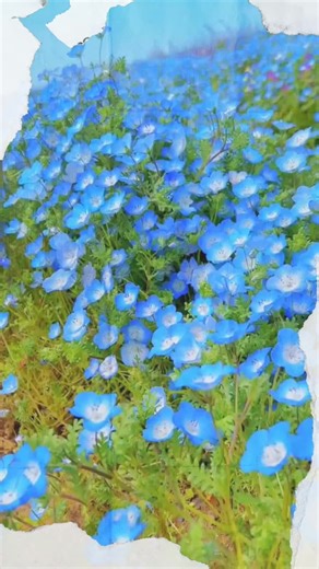 Random🩷 (@rlevermore)’s videos with original sound - Random🩷