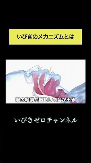 【いびきの正体】寝ている間に何が起きてる？喉の奥で震える粘膜の真実#いびき治療おすすめ #睡眠改善 #いびきレーザー治療