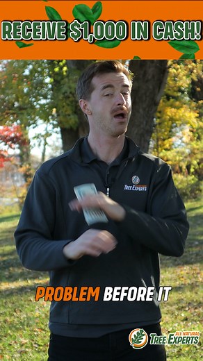 ⚠️ Dangerous trees on your property⚠️ Receive $1,000 Off your tree...