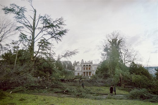 Il y a 25 ans, la tempête Lothar faisait des ravages dans les forêts suisses | RTS