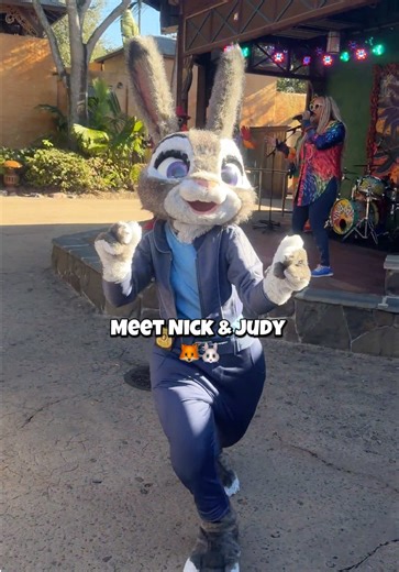 🐰🦊 Zoogether Day at Disney’s Animal Kingdom! Meet Judy Hopps and Nick Wilde on Discovery Island and celebrate harmony “zoogether” with your favorite Zootopia pals. Don’t miss this adorable character moment full of fur-ocious fun and photo ops! ✨ Would you stop by to meet them? 💙 #zootopia #disneyworld #animalkingdom #nickwilde #judyhops