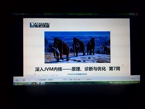 JVM学习和性能调优