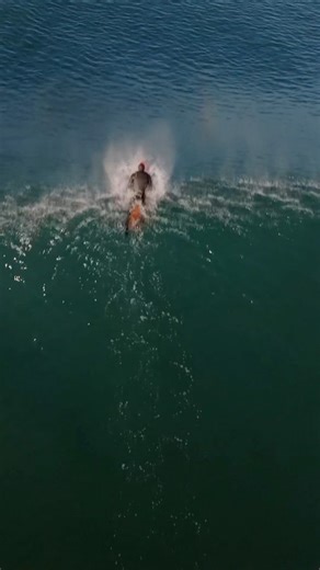 3.4K views · 7.1K reactions | Surfing is such a beautiful activity. No tennis court or gymnasium but nature instead. Beams of light, rainbows, and salty ocean sprays still capture my attention even to this day. @jarettjuarez #nature #beachvibes #surfing #ocean #waves #pnwonderland | PNW Surfing | Facebook