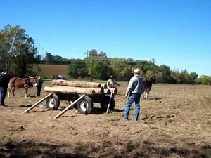 Loading Logs With Mules