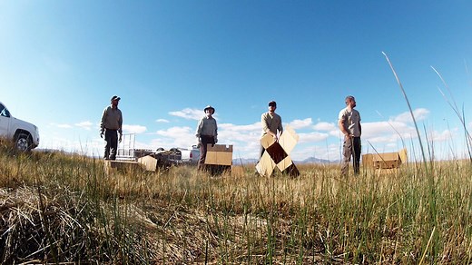 Planning to pheasant hunt in Utah this year? View the interactive pheasant release site map first: bit.ly/pheasant_map Also a reminder: the youth pheasant hunt is this Saturday and the statewide general pheasant hunt opens the following weekend (Nov. 7). Learn more about pheasant hunting in Utah at http://go.usa.gov/x7apf. | Utah Division of Wildlife Resources