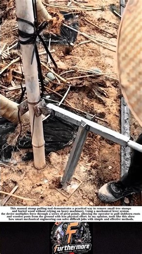 Simple Mechanical Tree Stump Puller in Action! #shorts