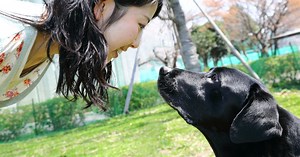 Scientists have found that the connections between humans and their dogs have the same biochemical basis as the mother-child bond, and it's strengthened by the same thing: a loving gaze