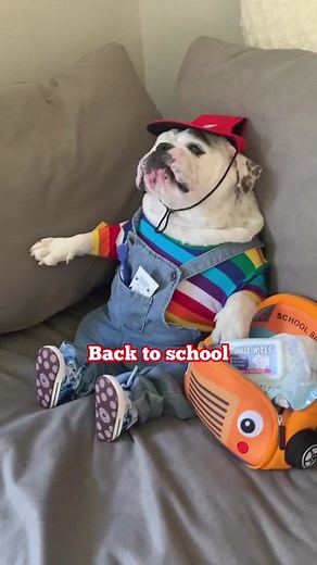 Back to School Essentials: Snacks, Beauty Hacks, and more!