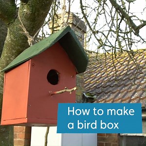 18 reactions | Watching birds flying in and out of a garden nest box never fails to invoke a flutter of joy!  This #NationalNestboxWeek, watch our video tutorial on how to make your own bird box for garden wildlife ️ | WWT | Facebook