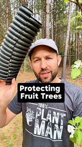 319K views · 3K reactions | How do you protect your fruit trees from...