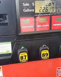 The Group Xscape on Reels