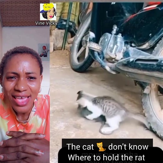 The rat 🐀 is too big for the cat to handle | Vine Vicky