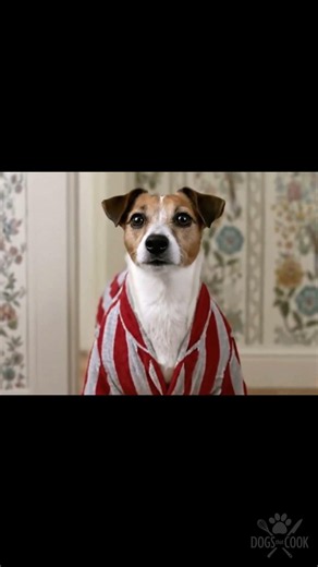 🎬 Furris Bueller's Day Off + TRIVIA QUIZ 🐾