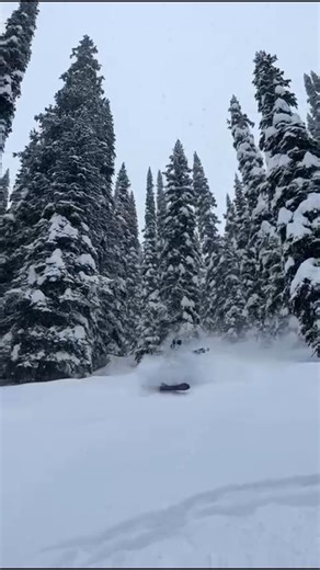 December has been DEEP. Video taken today, December 8, 2025. 📽: @thujavantage ⛷️: @lol.schmidt | Eagle Pass Heli