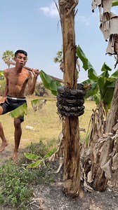 61K views · 164 reactions | Wow big Python Snake #snake #snakes #reelschallenge #reelsfacebook #reelstrending #snaketv | Snake TV | Facebook