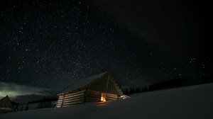 Aliens Uncovered: Observe & Report 2: Official Trailer