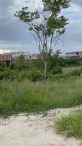 45K views · 436 reactions | falconer attacks bird  #falconry #falcon #hawk #bird #raptor #wildlife #nature #conservation #education #training #hunting #sport #hobby #passion #love #respect #wildfalconry #birdofprey #freedom #soaring #freedomofflight #birdattack #birdattacks | Anime | Facebook