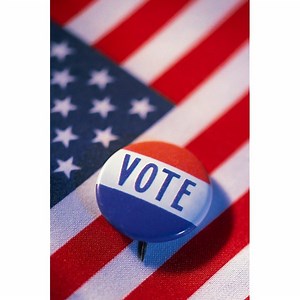 What Is the Difference Between a Delegate & an Elector? | Synonym