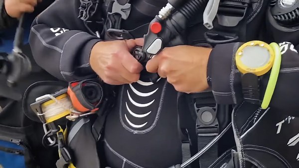 What Happens When a Diver Meets a Spinning Propeller