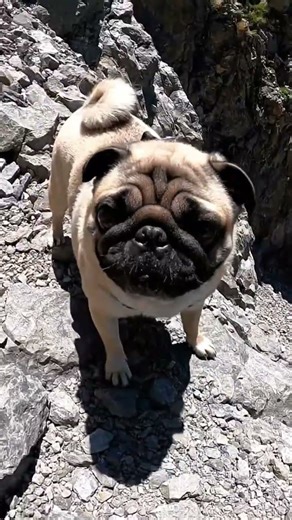 Easy Climb Turns Into Epic Mountain Fail