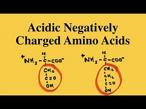 How to remember the Negatively Charged Amino Acids? (aka Acidic Amino Acids) | MCAT Biochemistry